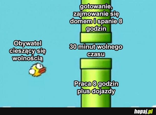 Wolność