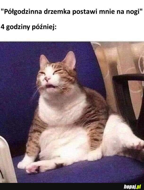 Cosiezieje