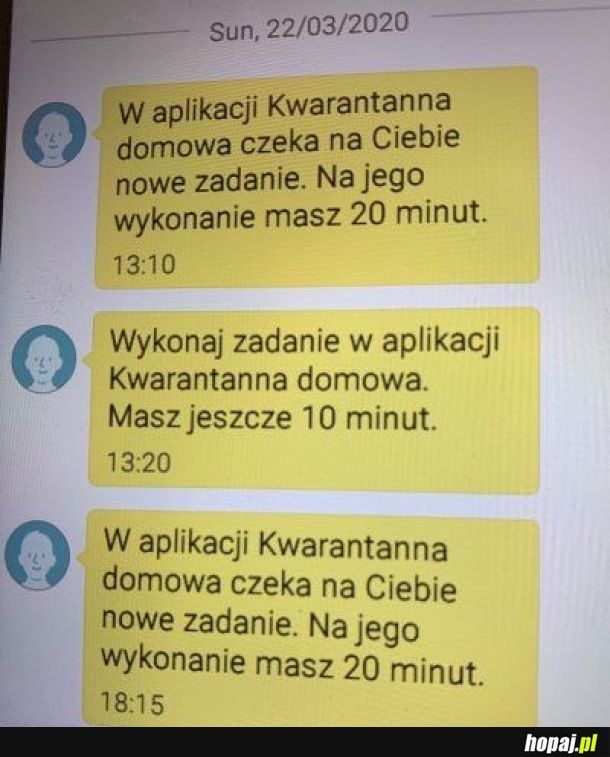 Wiadomości od rządowej apki dla ludzi pod ścisłą kwarantanną