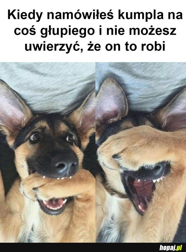 No co za głąb