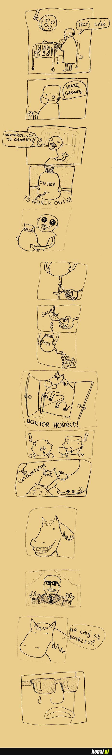 Doktor Horse