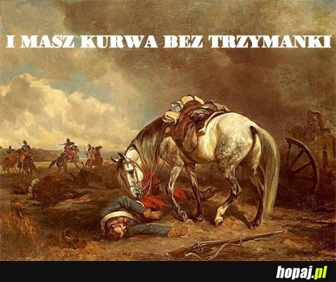 I masz tu k***a bez trzymanki