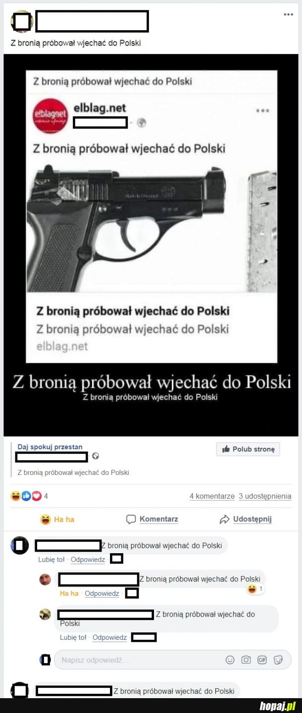  Z bronią próbował wjechać do Polski 