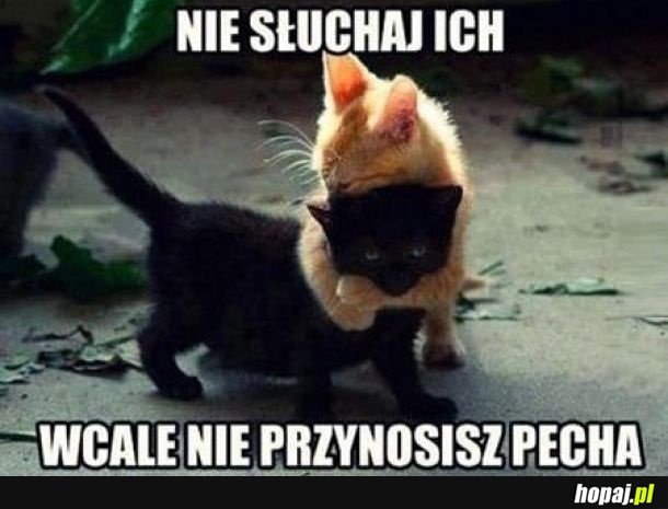 Nie słuchaj