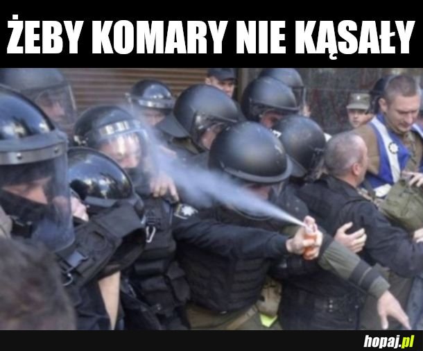 Kiedy psikasz offem