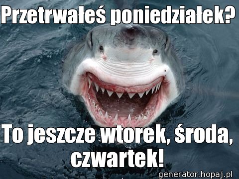 Przetrwałeś poniedziałek?