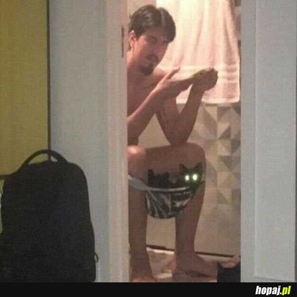 WTF?