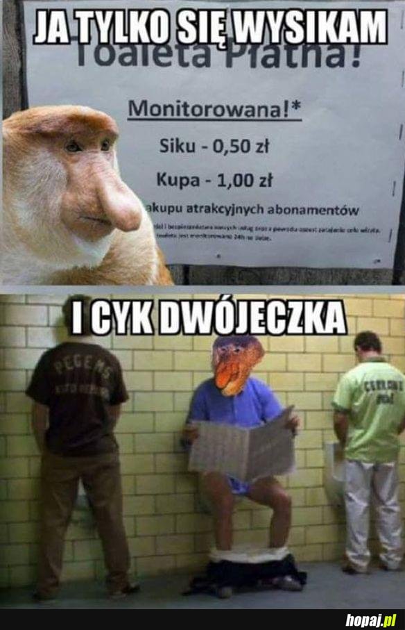 Na wszystkim oszczędzam