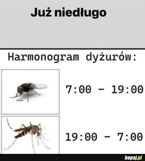 Wkrótce