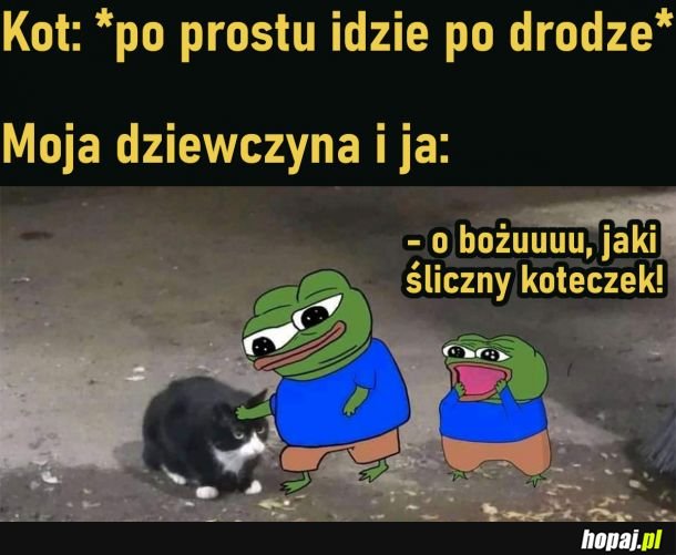 Za każdym razem tak samo reagujemy xD