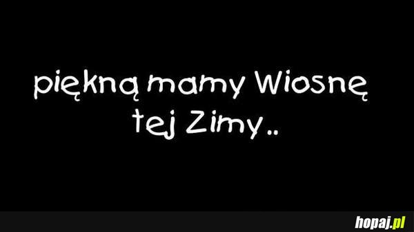 piękną mamy wiosnę tej zimy