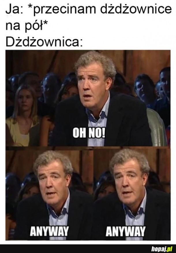 Dżdżownica