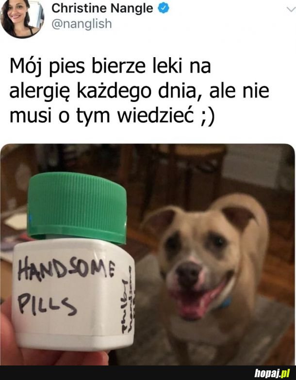 Mój pies