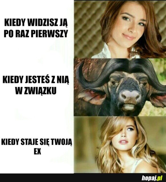 EWOLUCJA ZWIĄZKU