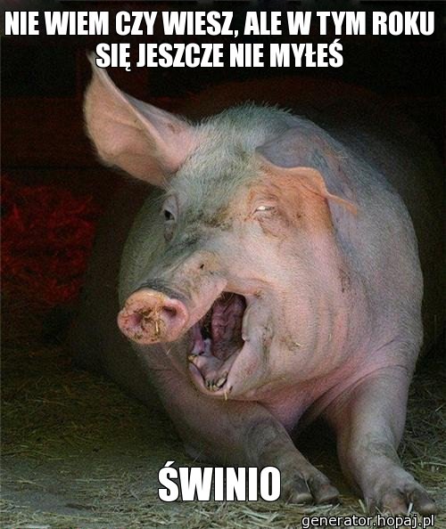 NIE WIEM CZY WIESZ, ALE W TYM ROKU SIĘ JESZCZE NIE MYŁEŚ