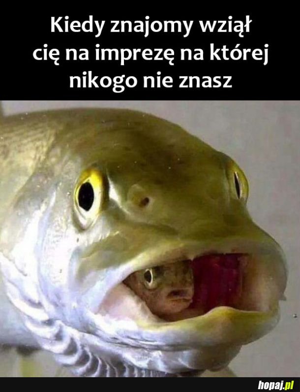 Kolego nie opuszczaj mnie