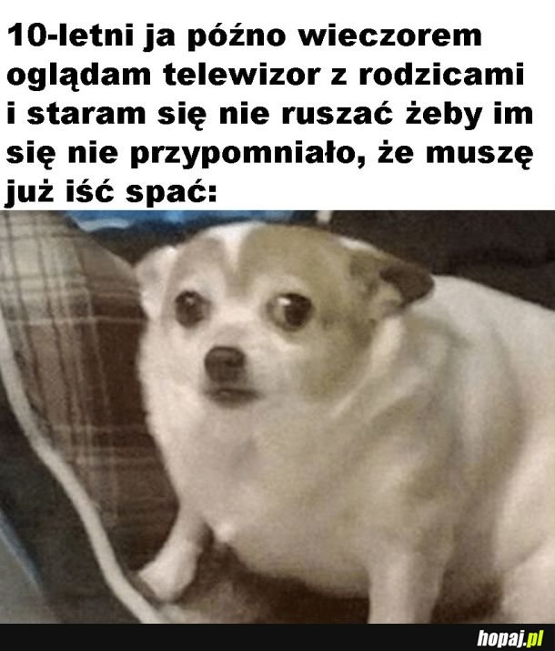 Tak było