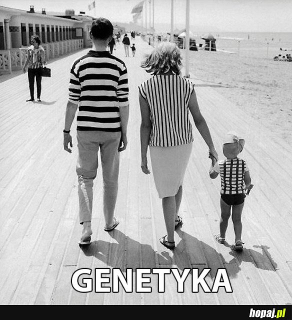 Genetyka