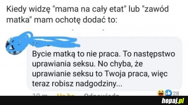 Zawód matka
