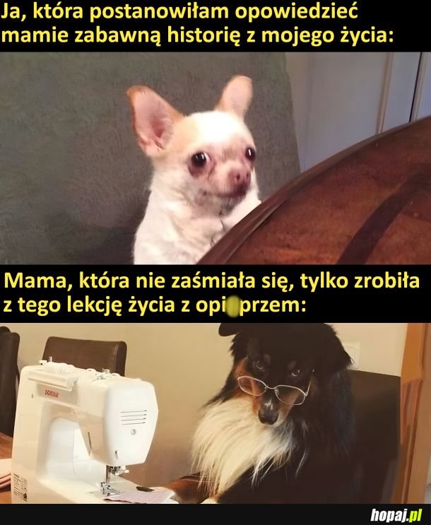 Nie warto było