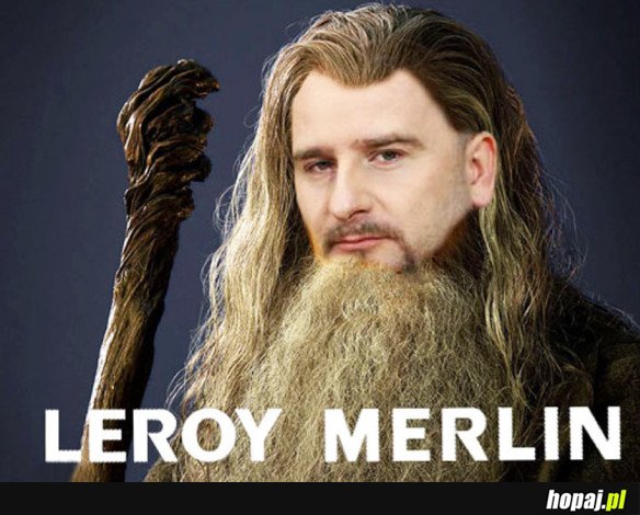 LEROY MERLIN