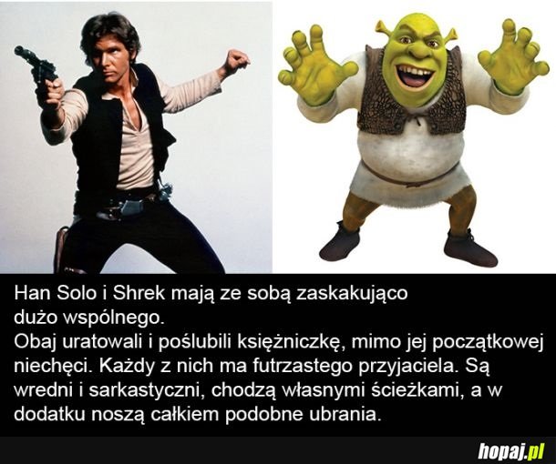 Bardzo podobni