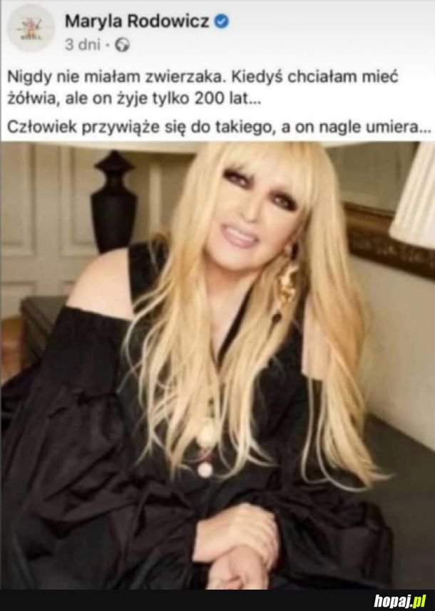 Pozostaje gąbka Scolymastra joubini