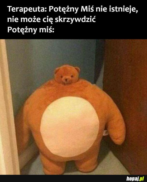 Potężny Miś 