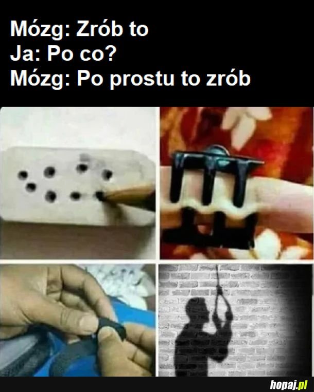 Mózg