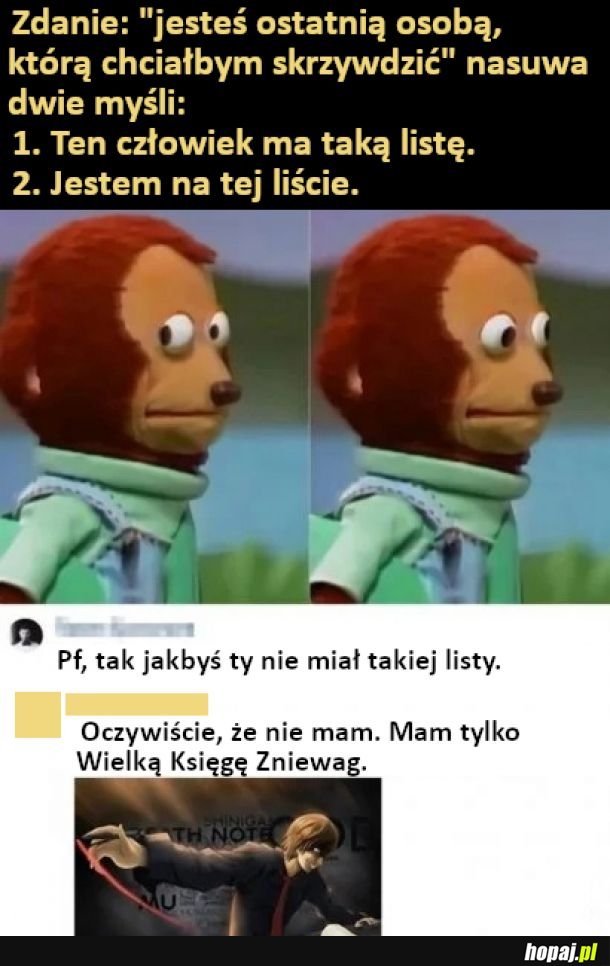 Wielka Księga Zniewag