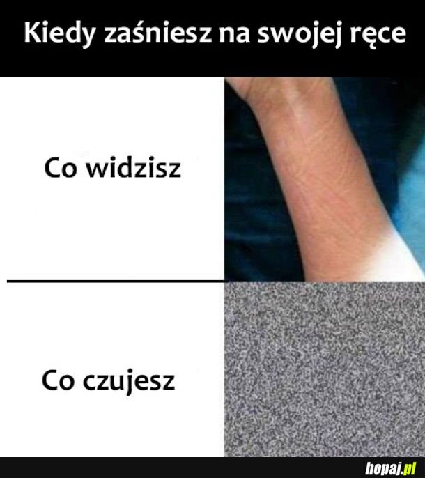 Mrówki