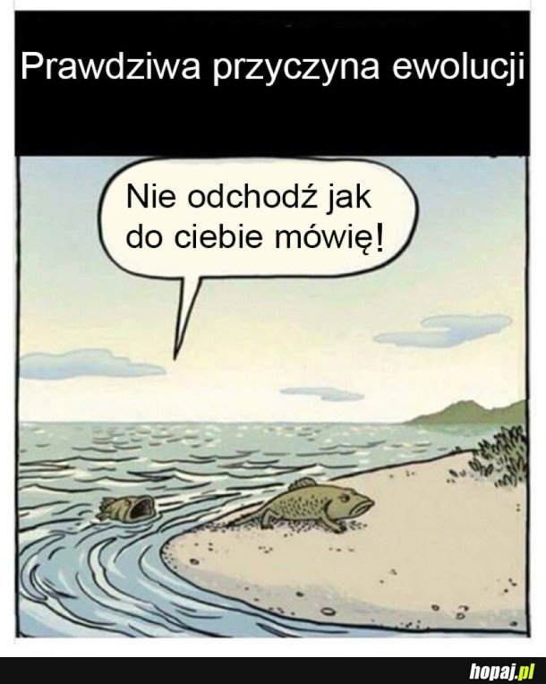 Z SERII. JAK TO BYŁO NAPRAWDĘ