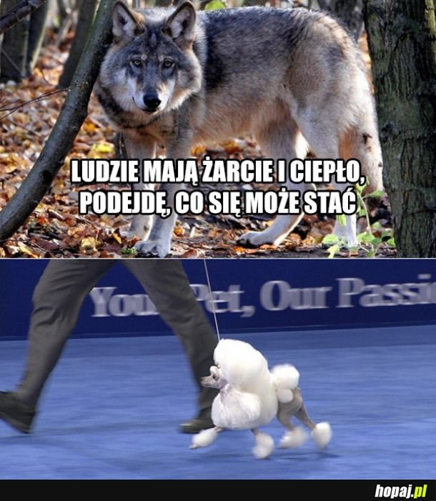 Co się może stać?