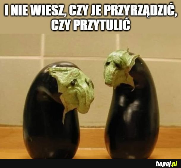 Co te bakłażany?