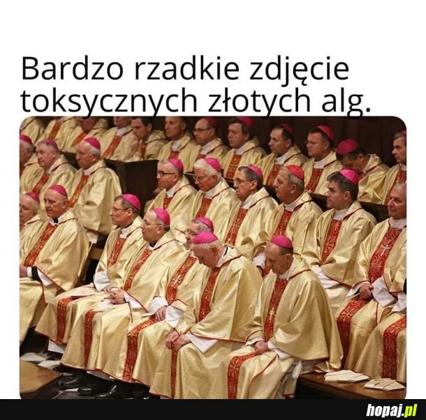 Uchwycone pod mikroskopem elektronowym