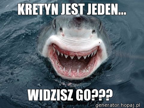  KRETYN JEST JEDEN...