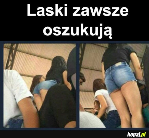 LASKI TAKIE SĄ