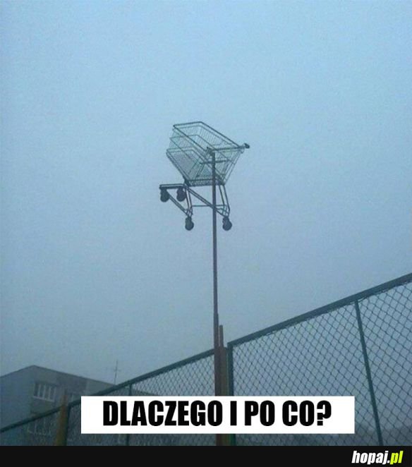 To miasto potrzebuje bohatera