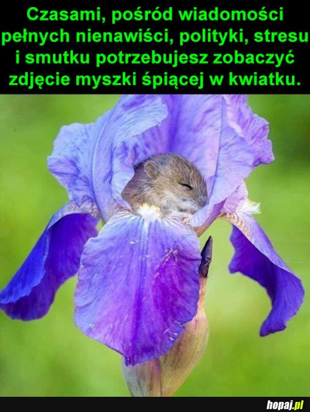 NAJLEPIEJ