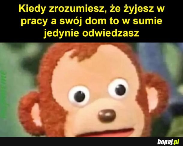 Dużo pracy