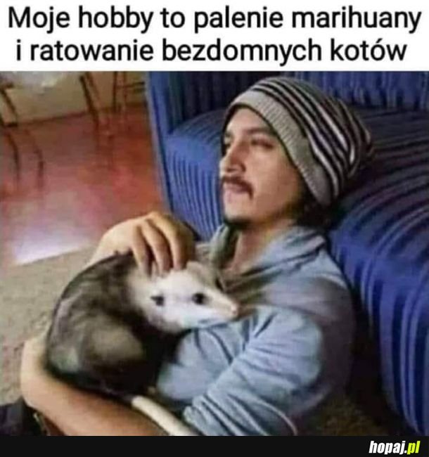 Typowy Seba z PETA