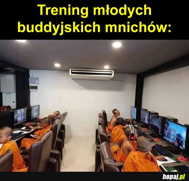 Drużyna Zen