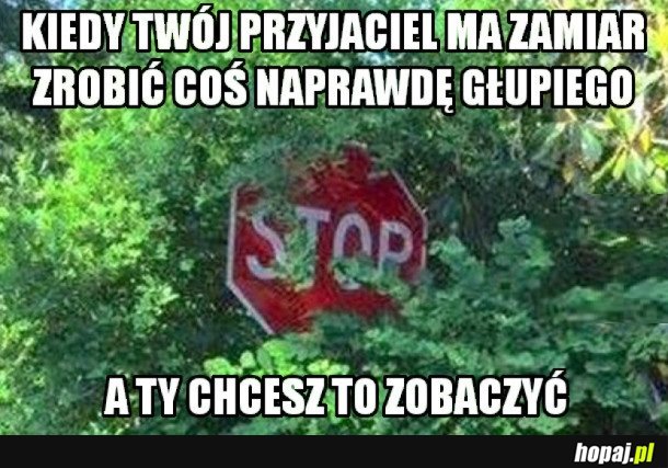 GŁUPIE POMYSŁY