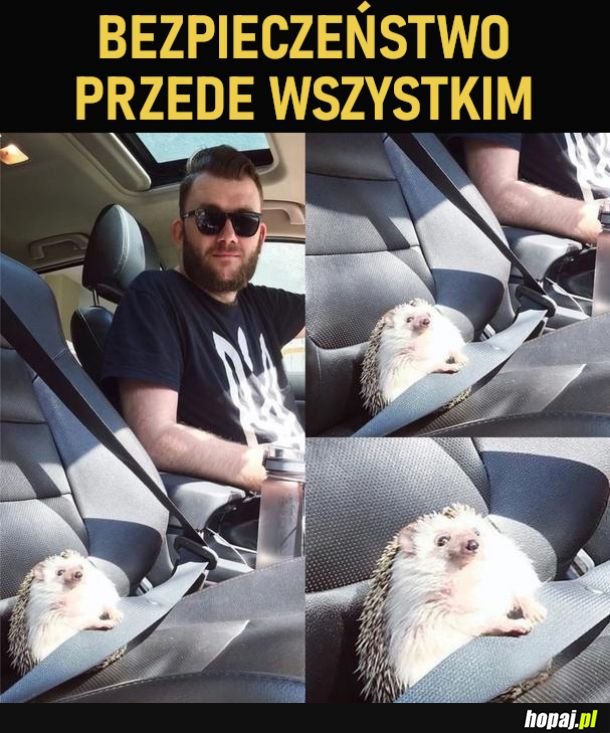 Uroczy jeżyk