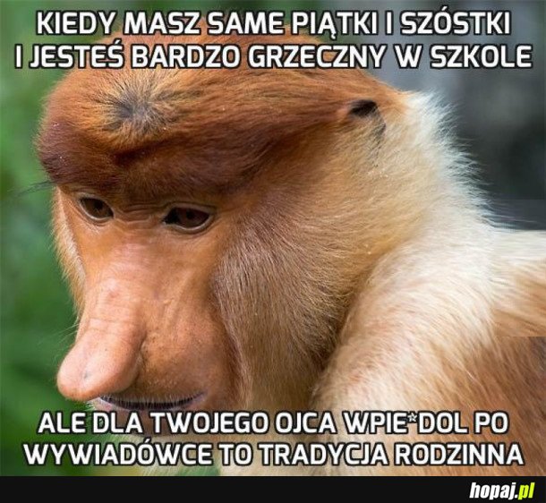 TRADYCJI STANIE SIĘ ZADOŚĆ