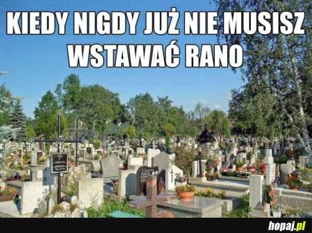 Nareszcie święty spokój