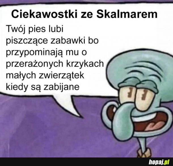 Skalmar prawdę Ci powie