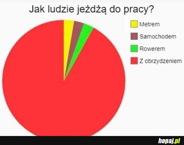 Jak ludzie jeżdżą do pracy