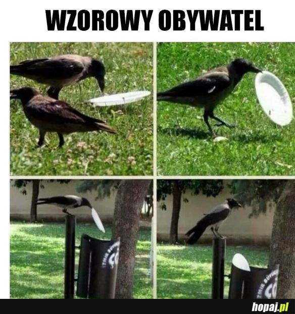 Trzeba szanować taką postawę