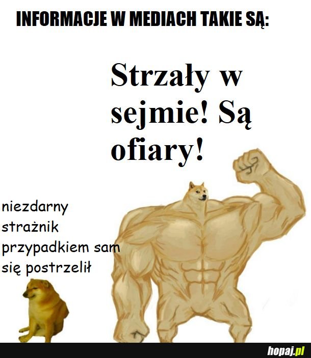 Jak być dziennikarzem do Internetu
